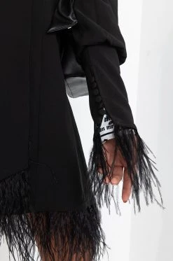 QUEEN LEVEL REAL FEATHER MINI BLAZER DRESS -AKIRA Shop queen level real feather mini blazer dress black 6 6