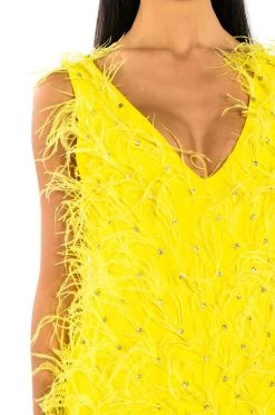 RENDEZVOUS SLEEVELESS FEATHER MINI DRESS IN YELLOW -AKIRA Shop rendezvous sleeveless feather mini dress in yellow yellow 6 6