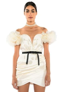 YOU'RE THE ONE THAT I WANT ORGANZA PUFF SLEEVE MINI DRESS